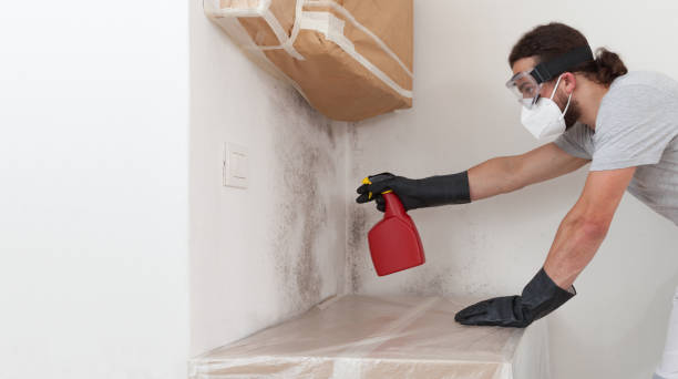Professional Bathroom Mold Removal technician working in North Babylon, NY
