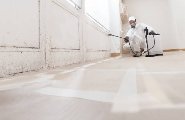 24/7 Emergency Bathroom Mold Removal experts in North Babylon, NY